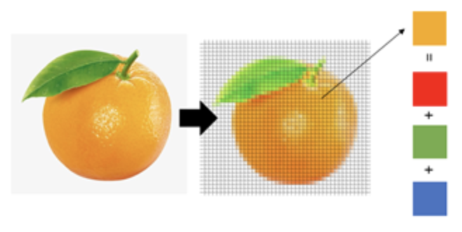 呈現AI運用特徵擷取資料來建立模型並學習